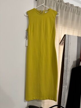 ✨NWT ✨Babaton Sleeveless Midi Dress